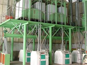80T-250T large scale flour mills plant