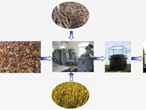 biomass gasification fuel production line
