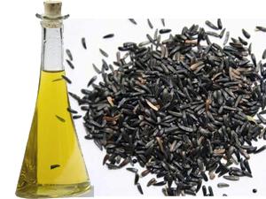 Niger Seed Oil Processing
