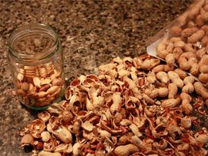 peanut shell pellet mill