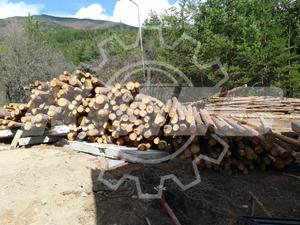 bulgaria biomass pellet project