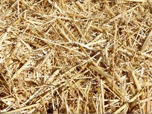 straw pellet mill